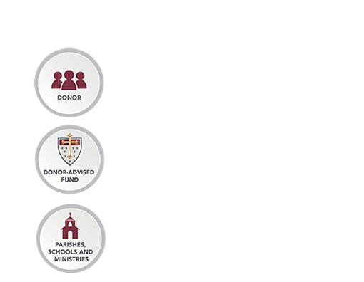 How Our DAFs Work How Our DAFs Work