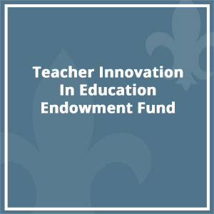 Teacher Innovation In Education Endowment Fund